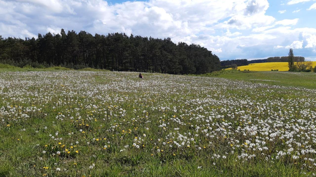 Christianshof Insel Usedom Apartman Stoben Kültér fotó